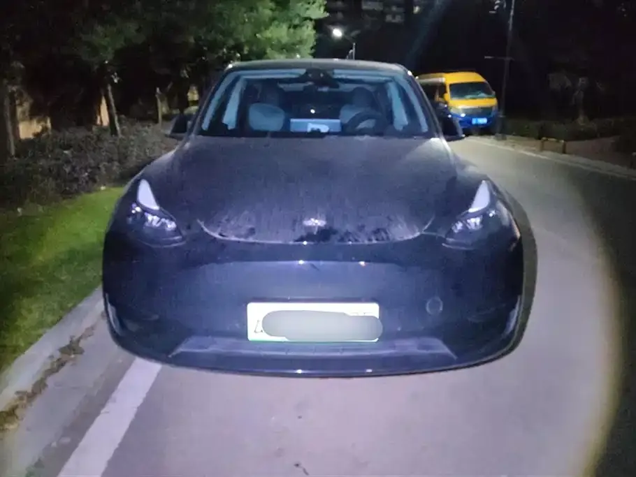 Tesla Model Y 2023 из CN, фото 2