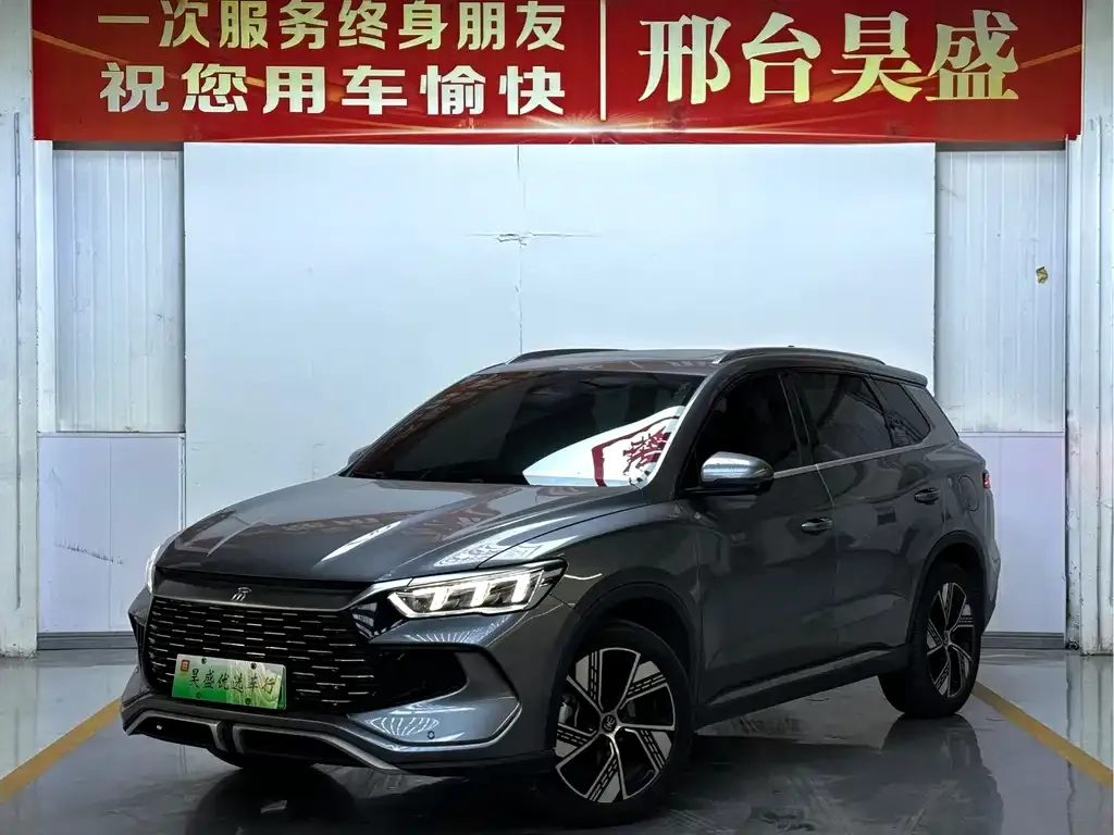 BYD Pro New Energy — фото 1