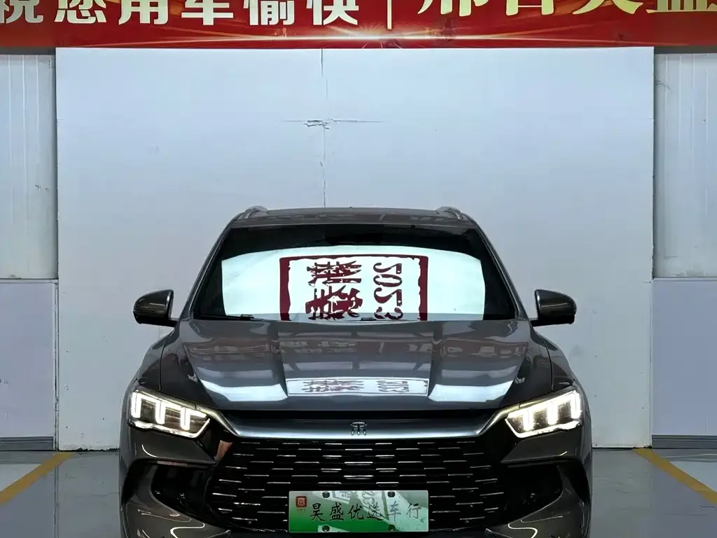 BYD Pro New Energy — фото 7