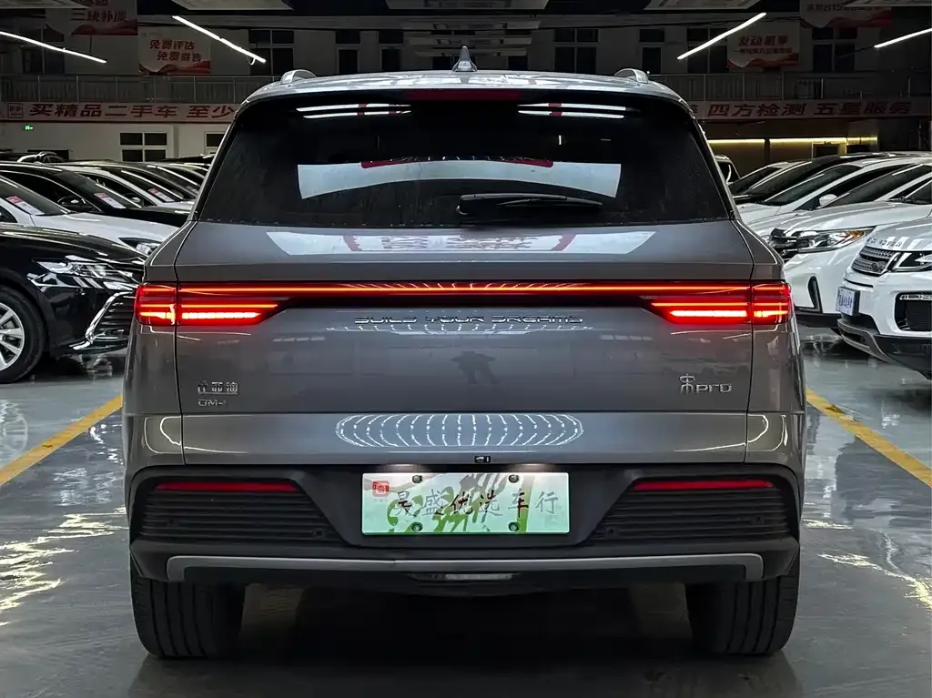 BYD Pro New Energy — фото 4