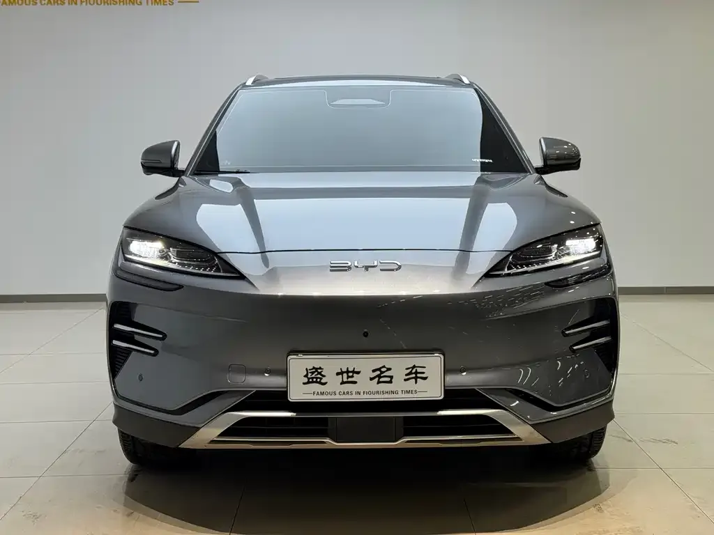 BYD PLUS New Energy — фото 2