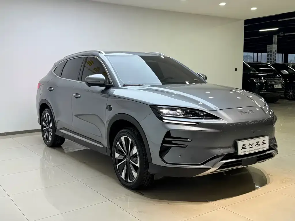 BYD PLUS New Energy — фото 3