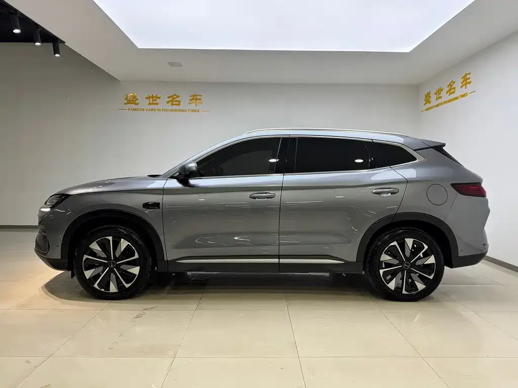 BYD PLUS New Energy — фото 5