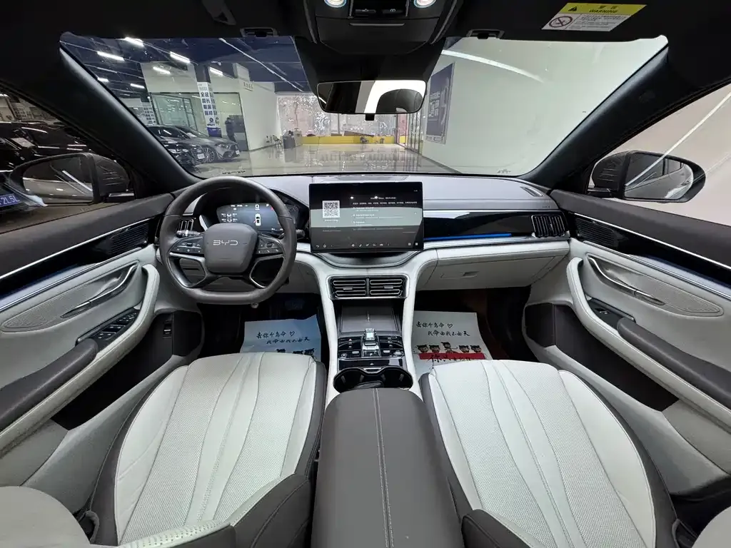 BYD PLUS New Energy — фото 4