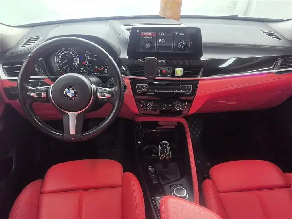 BMW X2 2021 из CN, фото 9