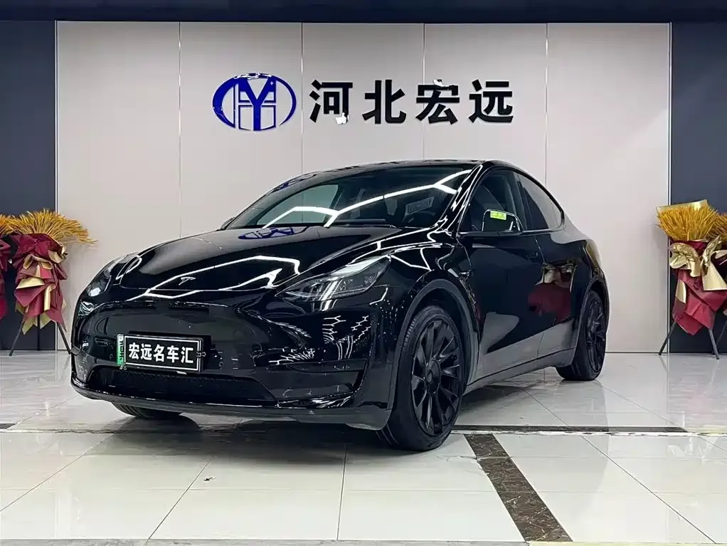 Tesla Model Y — фото 1