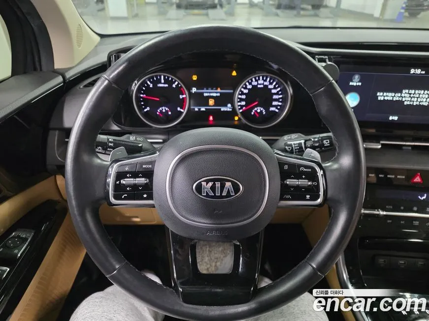Kia Carnival — фото 10