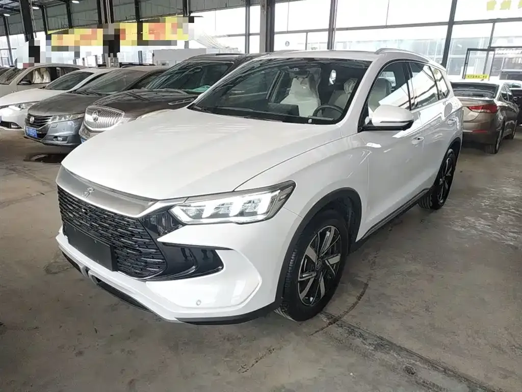 BYD Pro New Energy 2025 из CN, фото 3