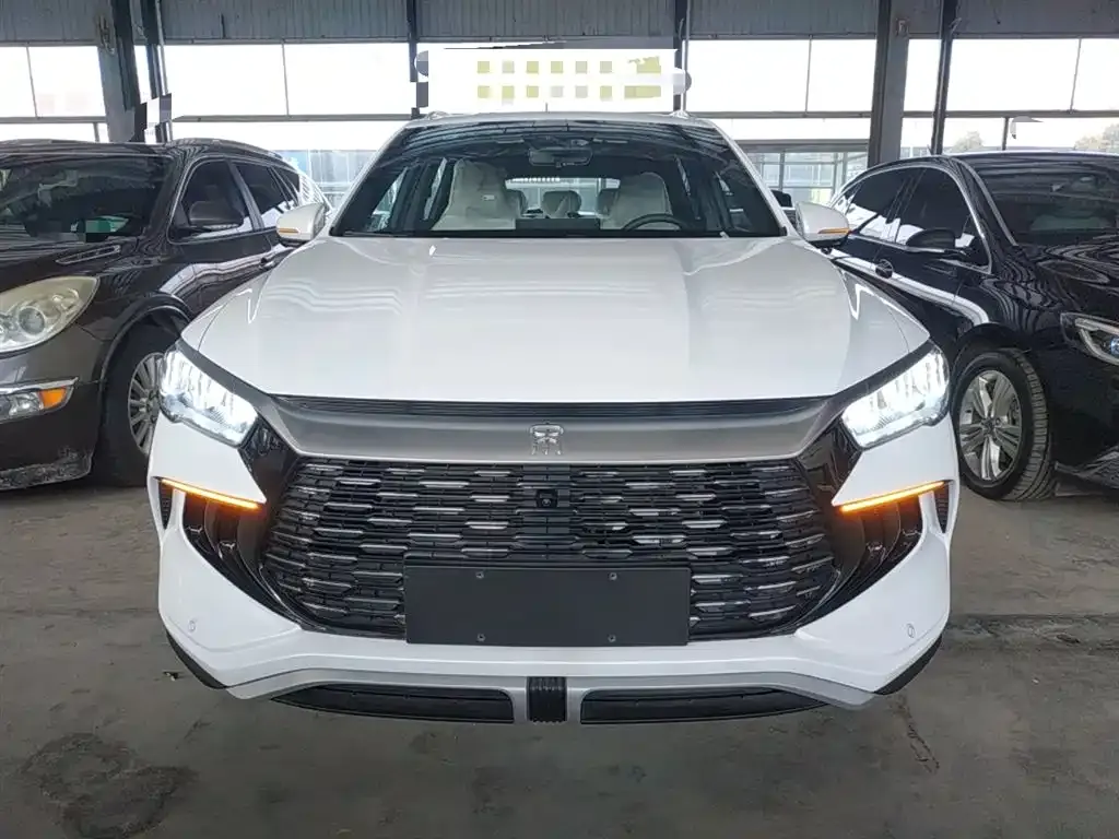 BYD Pro New Energy 2025 из CN, фото 5