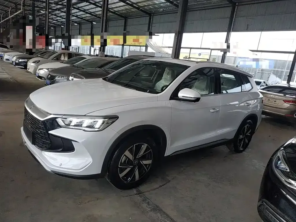 BYD Pro New Energy 2025 из CN, фото 2