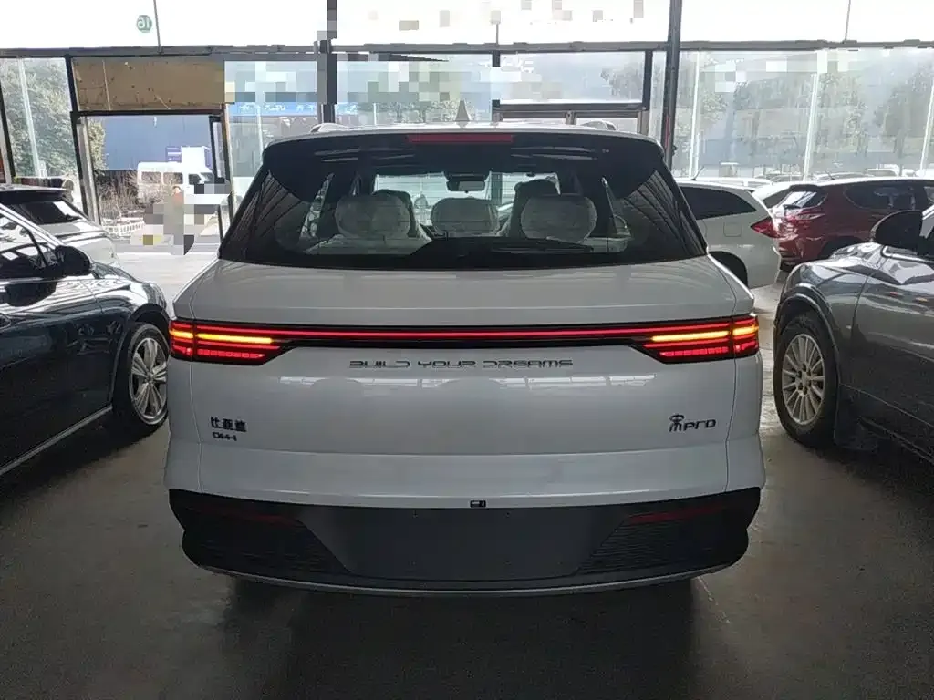BYD Pro New Energy 2025 из CN, фото 7