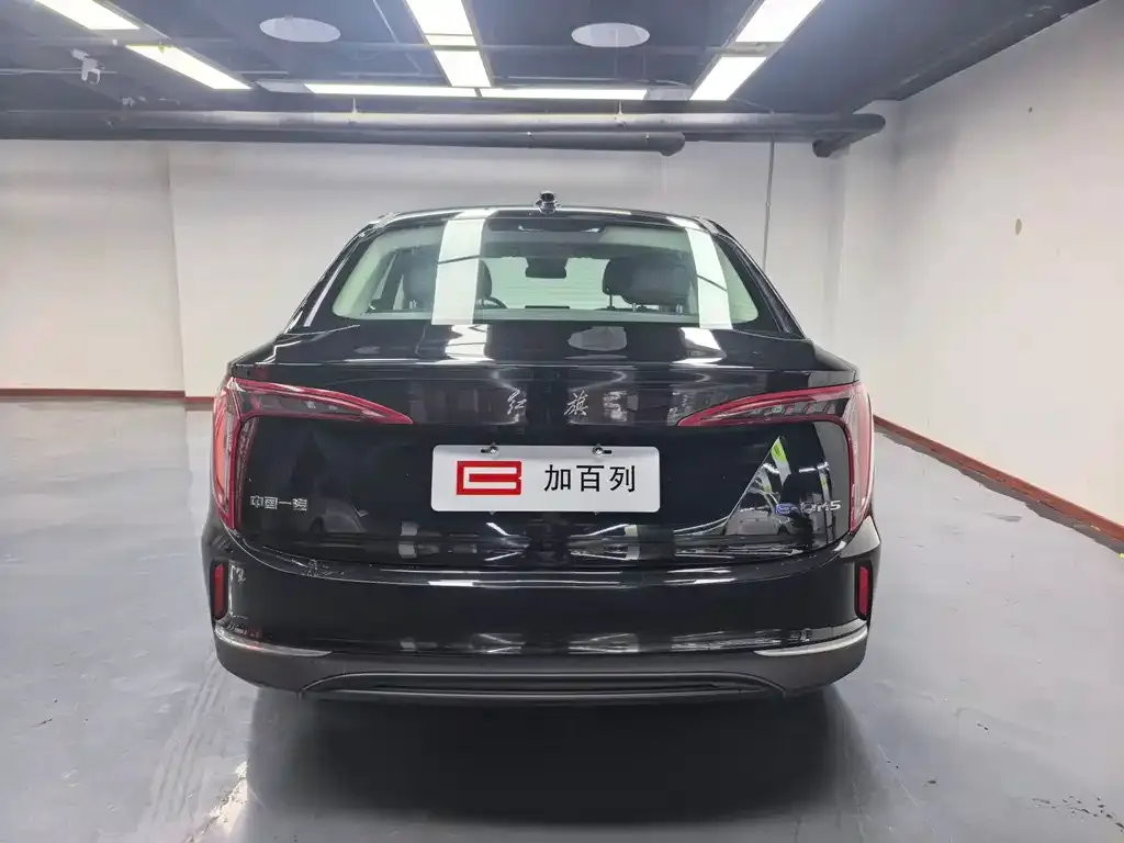Hongqi E-QM5 — фото 10