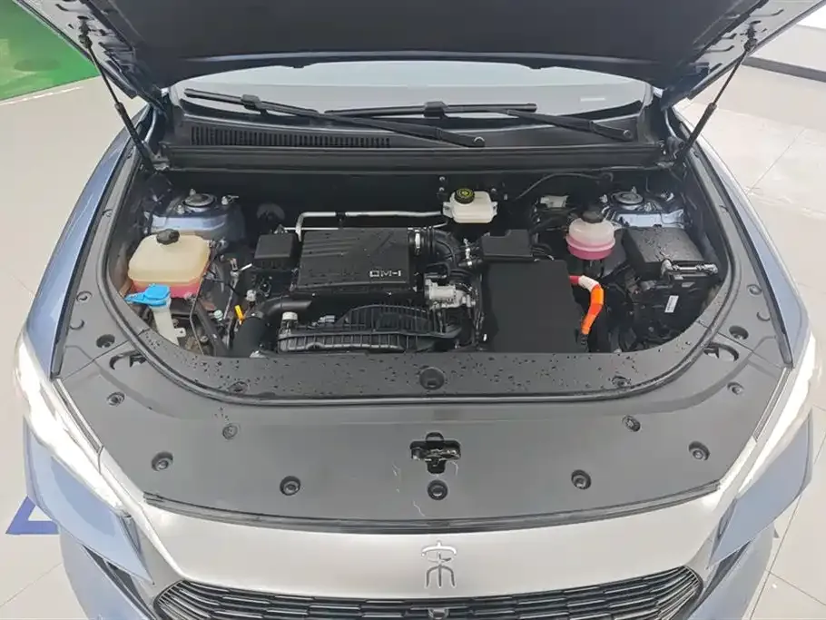 BYD Pro New Energy — фото 9