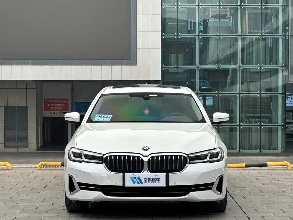 BMW 5 Series New Energy 2022 из CN, фото 2