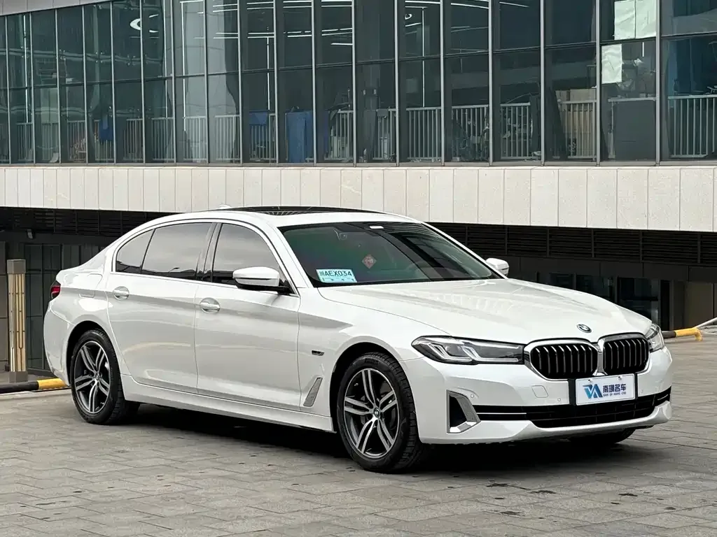 BMW 5 Series New Energy 2022 из CN, фото 7