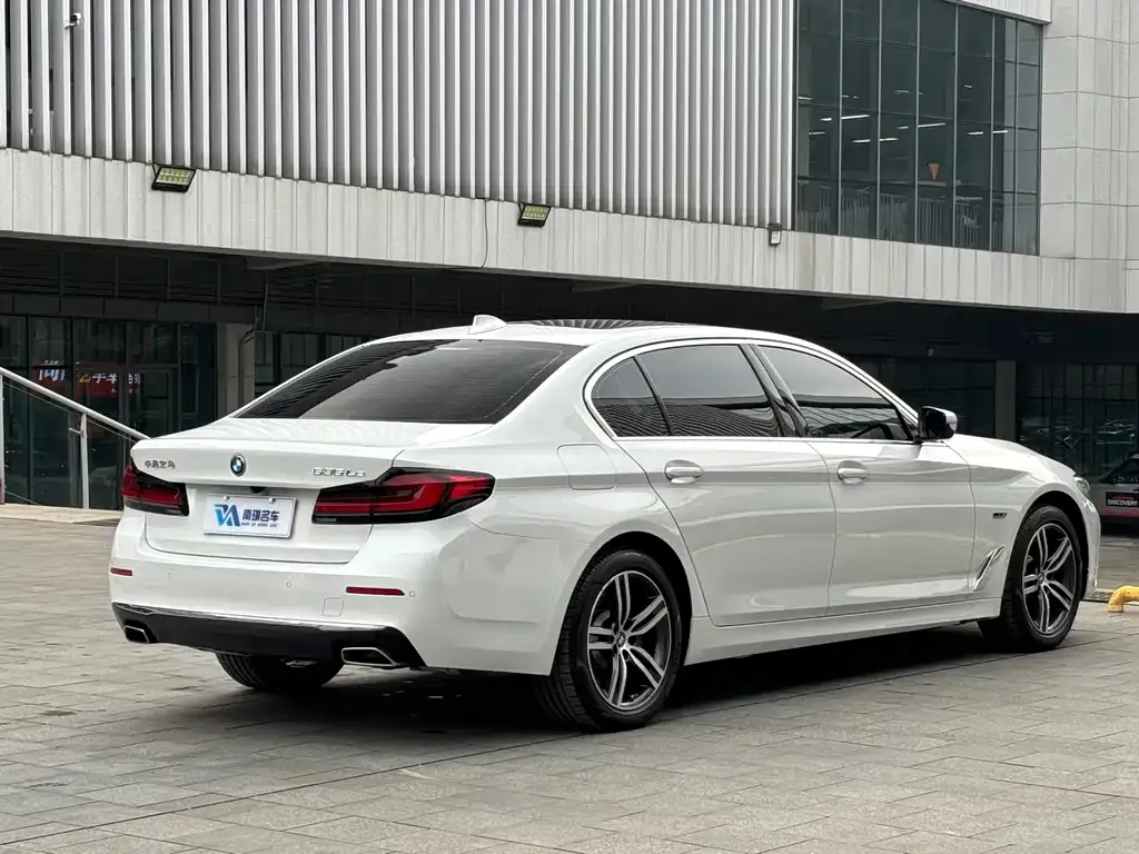 BMW 5 Series New Energy 2022 из CN, фото 10