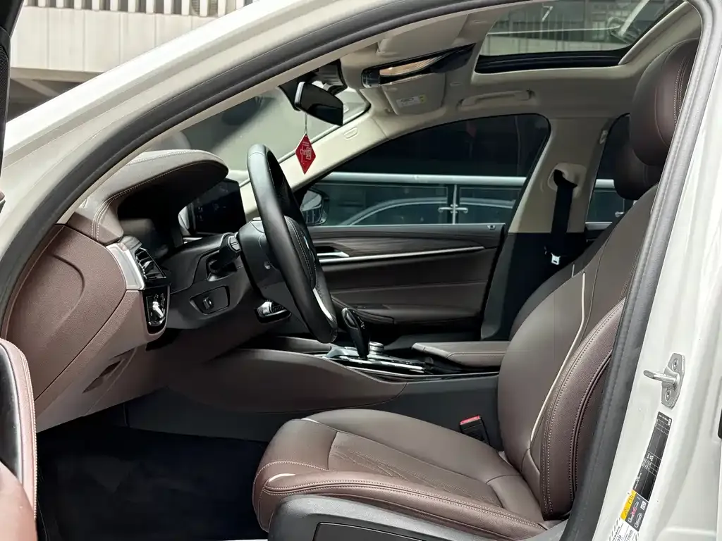 BMW 5 Series New Energy 2022 из CN, фото 8