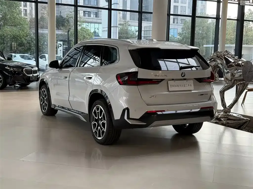 [object Object] X1 2023 из CN, фото 5