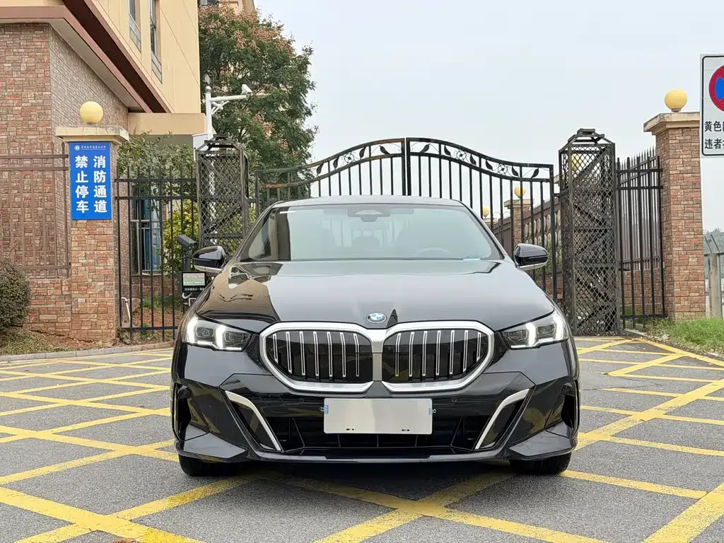 BMW 5 Series 2025 из CN, фото 5