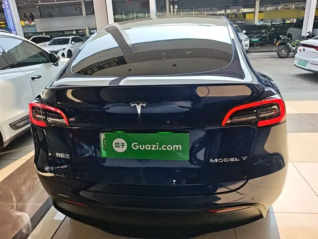 Tesla Model Y 2021 из CN, фото 5