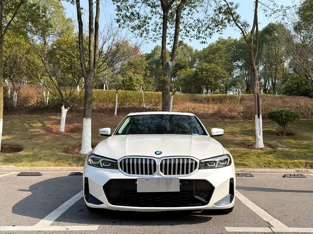 [object Object] 3 Series 2024 из CN, фото 2