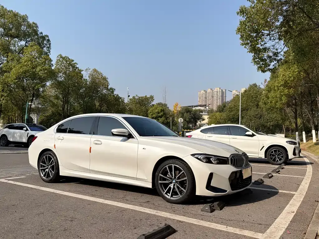 [object Object] 3 Series 2024 из CN, фото 3