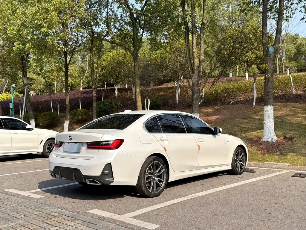 [object Object] 3 Series 2024 из CN, фото 8