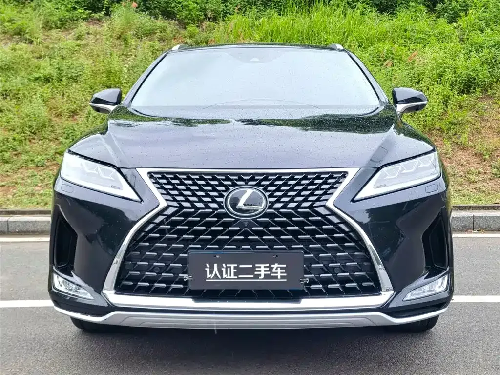 Lexus RX — фото 3