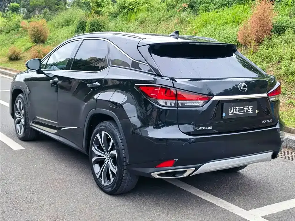 Lexus RX — фото 6
