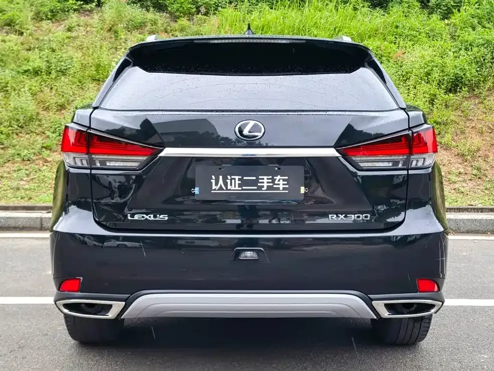 Lexus RX — фото 9
