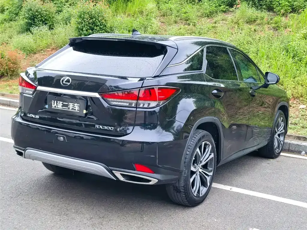 Lexus RX — фото 5