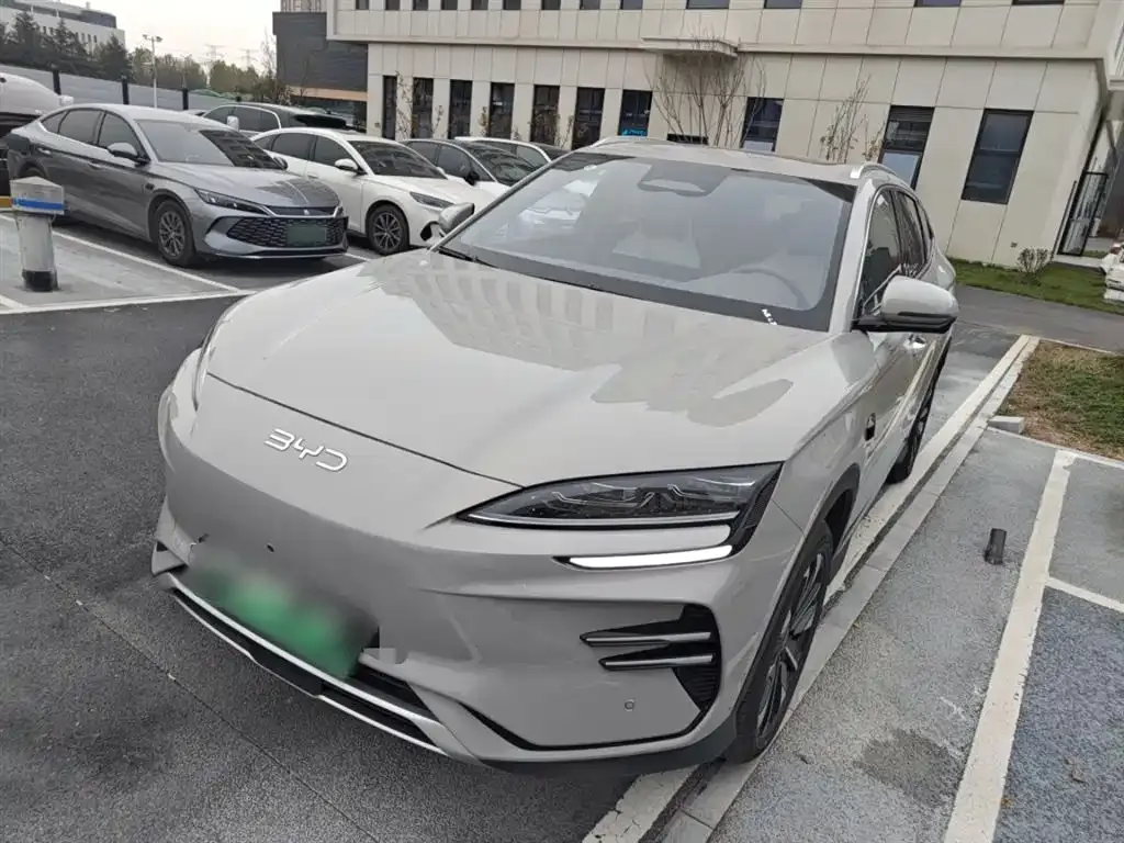 BYD PLUS New Energy — фото 1