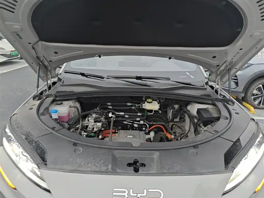 BYD PLUS New Energy — фото 10