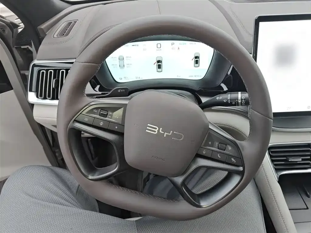 BYD PLUS New Energy — фото 3