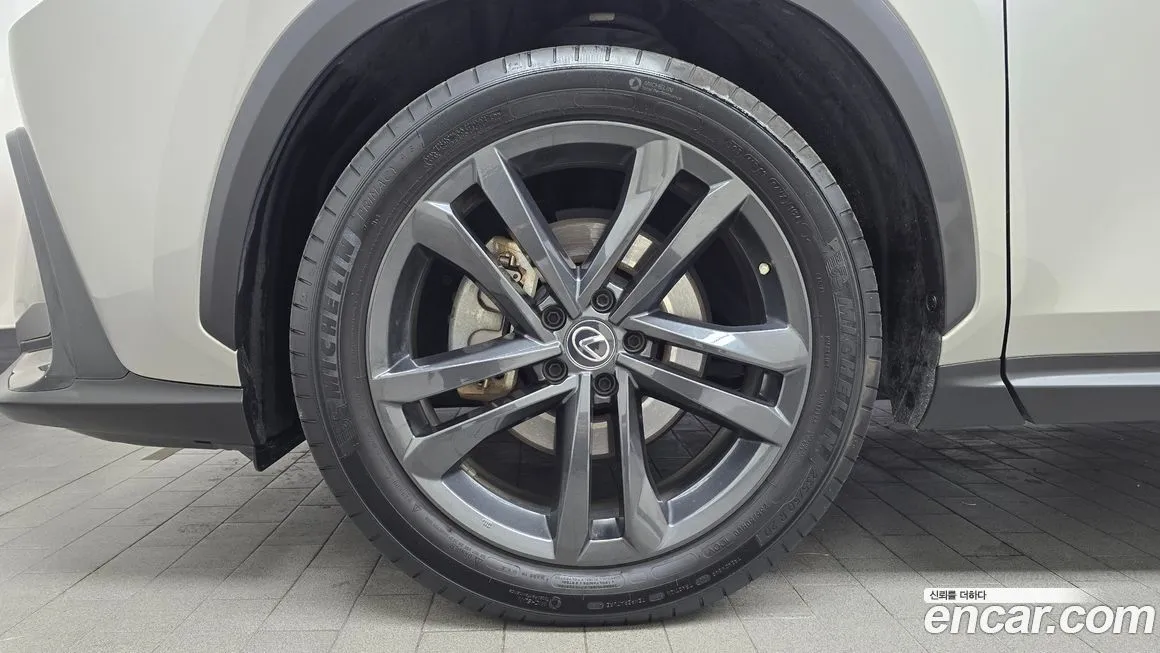 Lexus NX 2023 из KR, фото 5