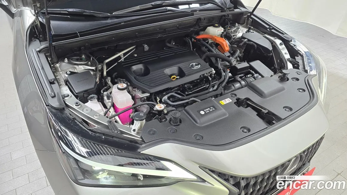 Lexus NX 2023 из KR, фото 4