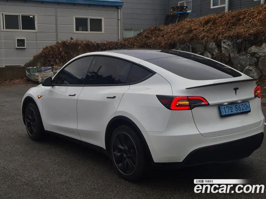 Tesla Model Y — фото 10