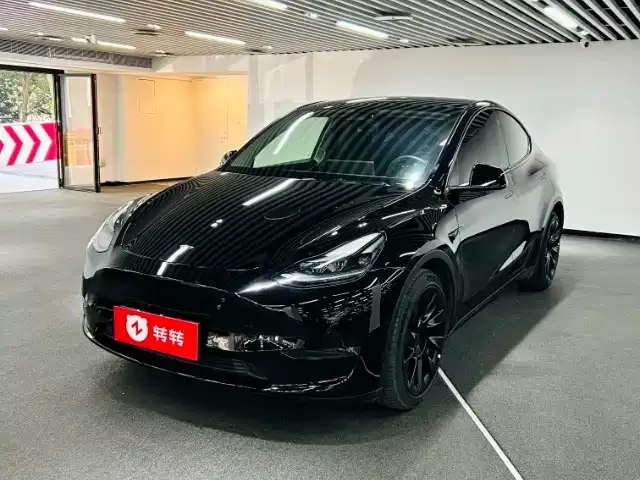 Tesla Model Y 2021 из CN, фото 1