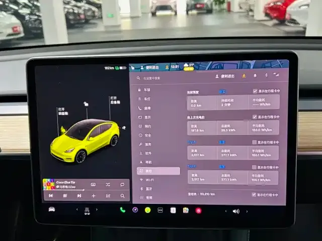 Tesla Model Y 2021 из CN, фото 4