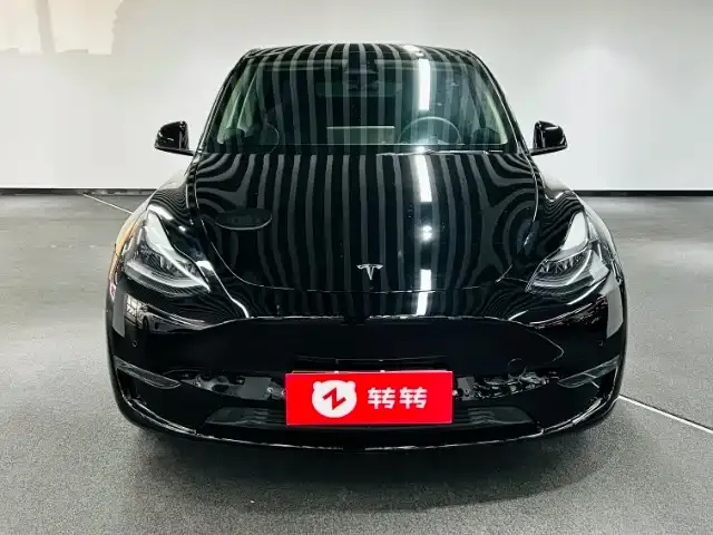 Tesla Model Y 2021 из CN, фото 9