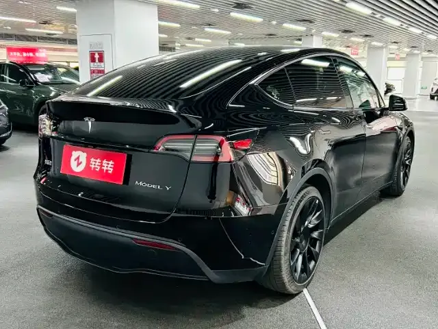 Tesla Model Y 2021 из CN, фото 3