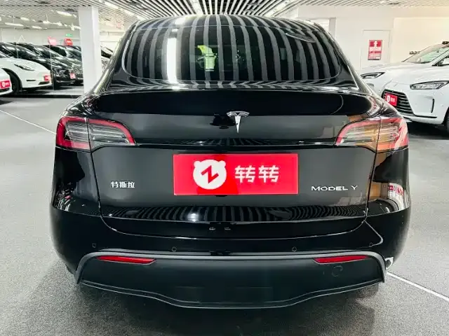 Tesla Model Y 2021 из CN, фото 5