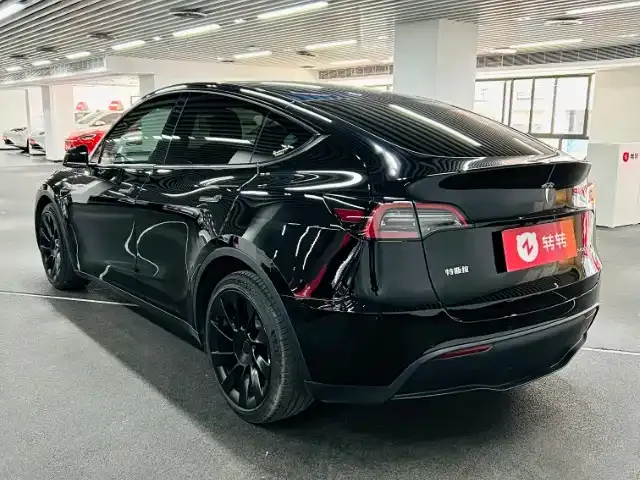 Tesla Model Y 2021 из CN, фото 7