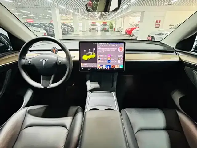 Tesla Model Y 2021 из CN, фото 6