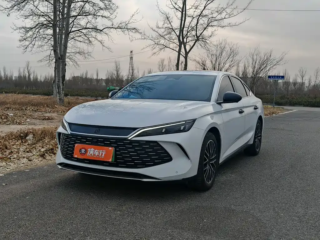 BYD Qin L — фото 1
