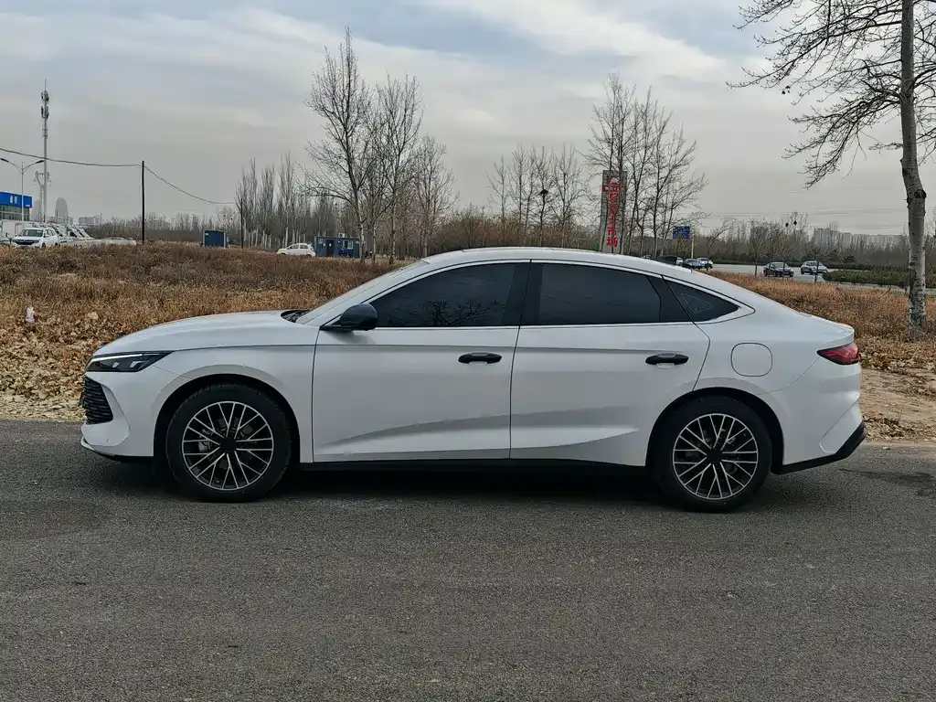 BYD Qin L — фото 3