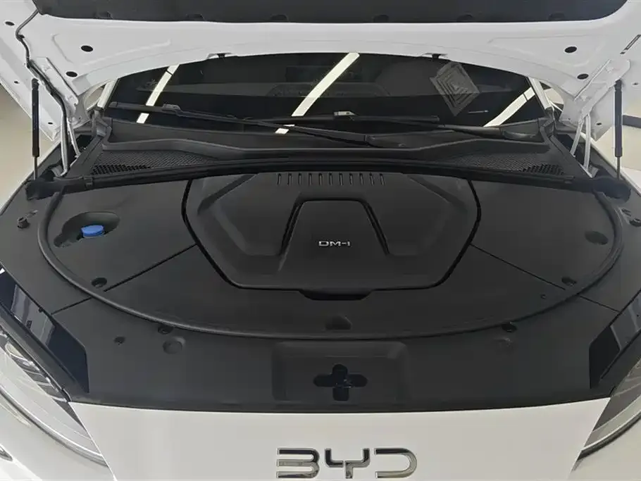 BYD PLUS New Energy — фото 6