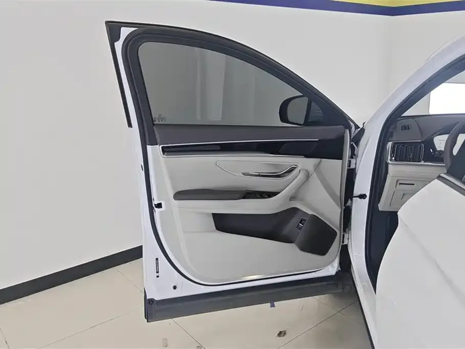 BYD PLUS New Energy — фото 10