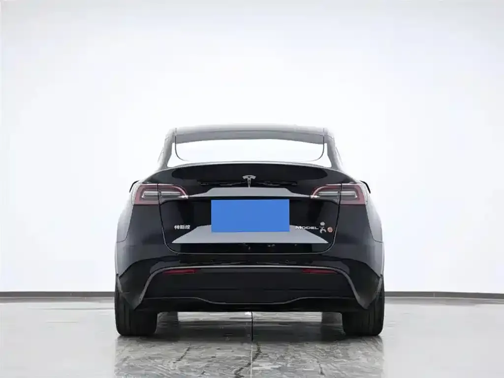 Tesla Model Y — фото 5