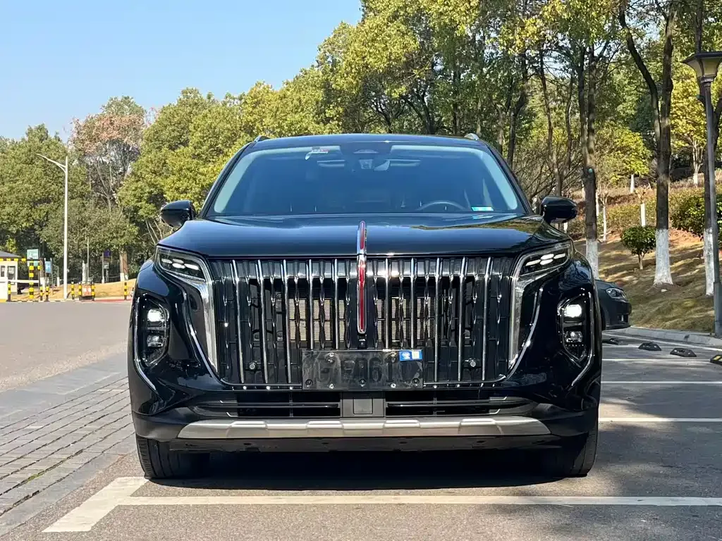 Hongqi HS7 PHEV 2024 из CN, фото 6